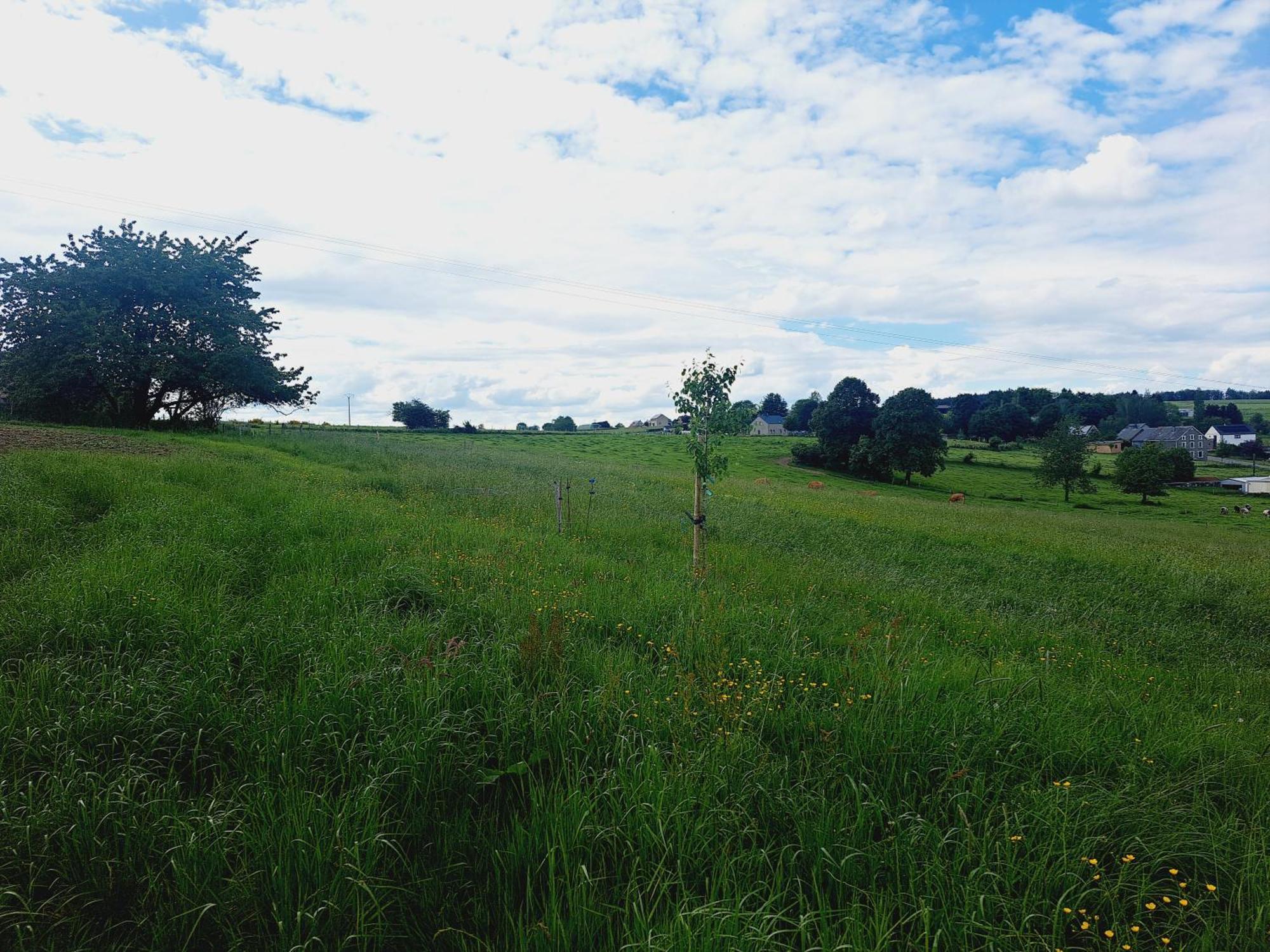 *Au Refuge Ardennais* Bertogne Exterior foto